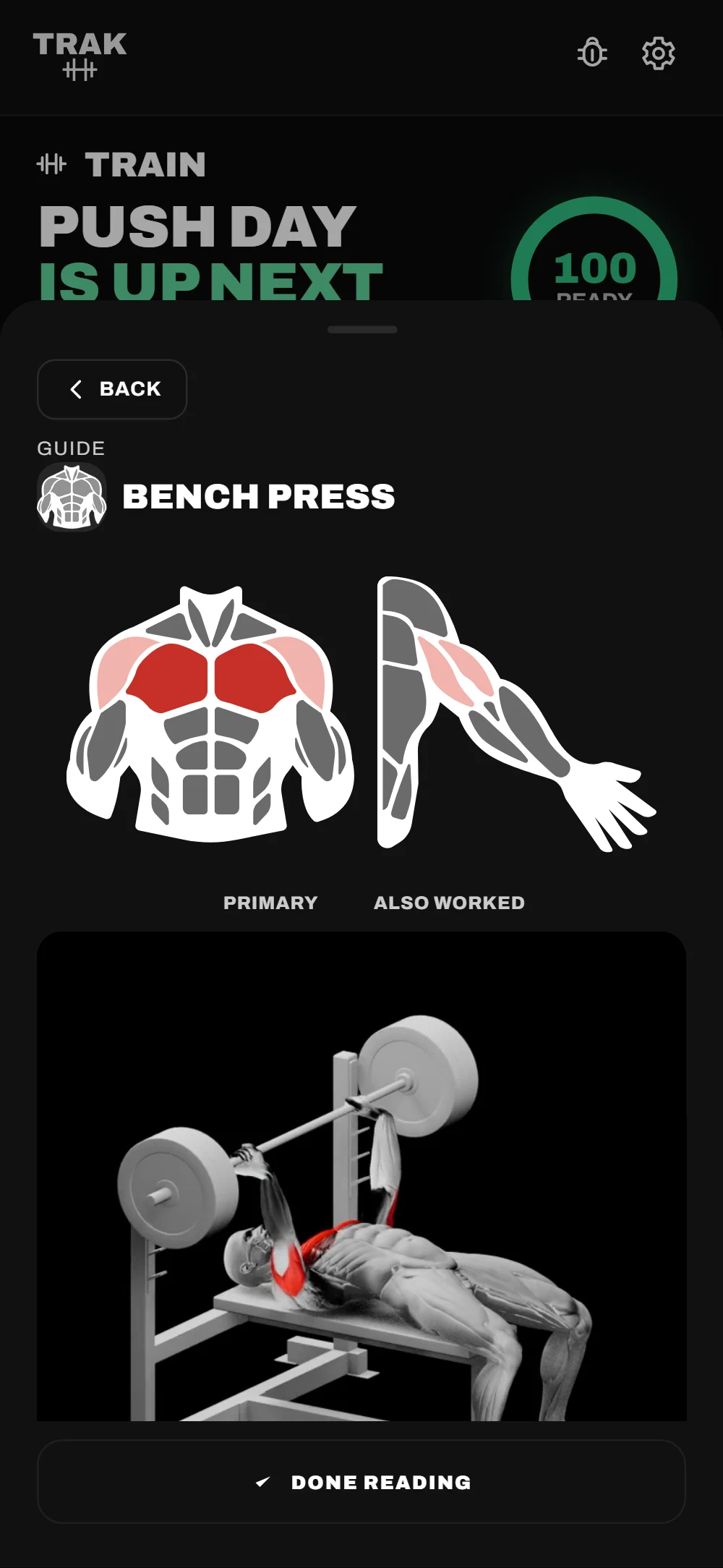 The bench press guide: chest and front delts highlighted on the muscle map, above a 3D demo of the lift.