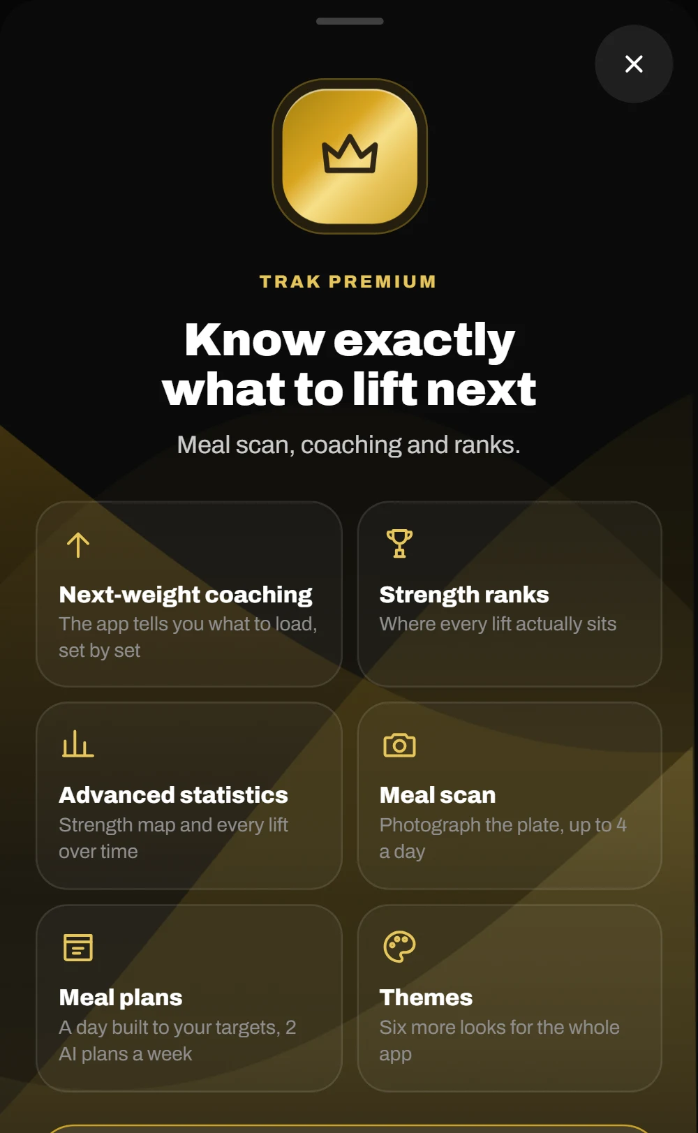 The TRAK Premium panel: strength ranks, next-weight coaching, advanced statistics, meal scan, meal plans and themes, over a gold aurora.