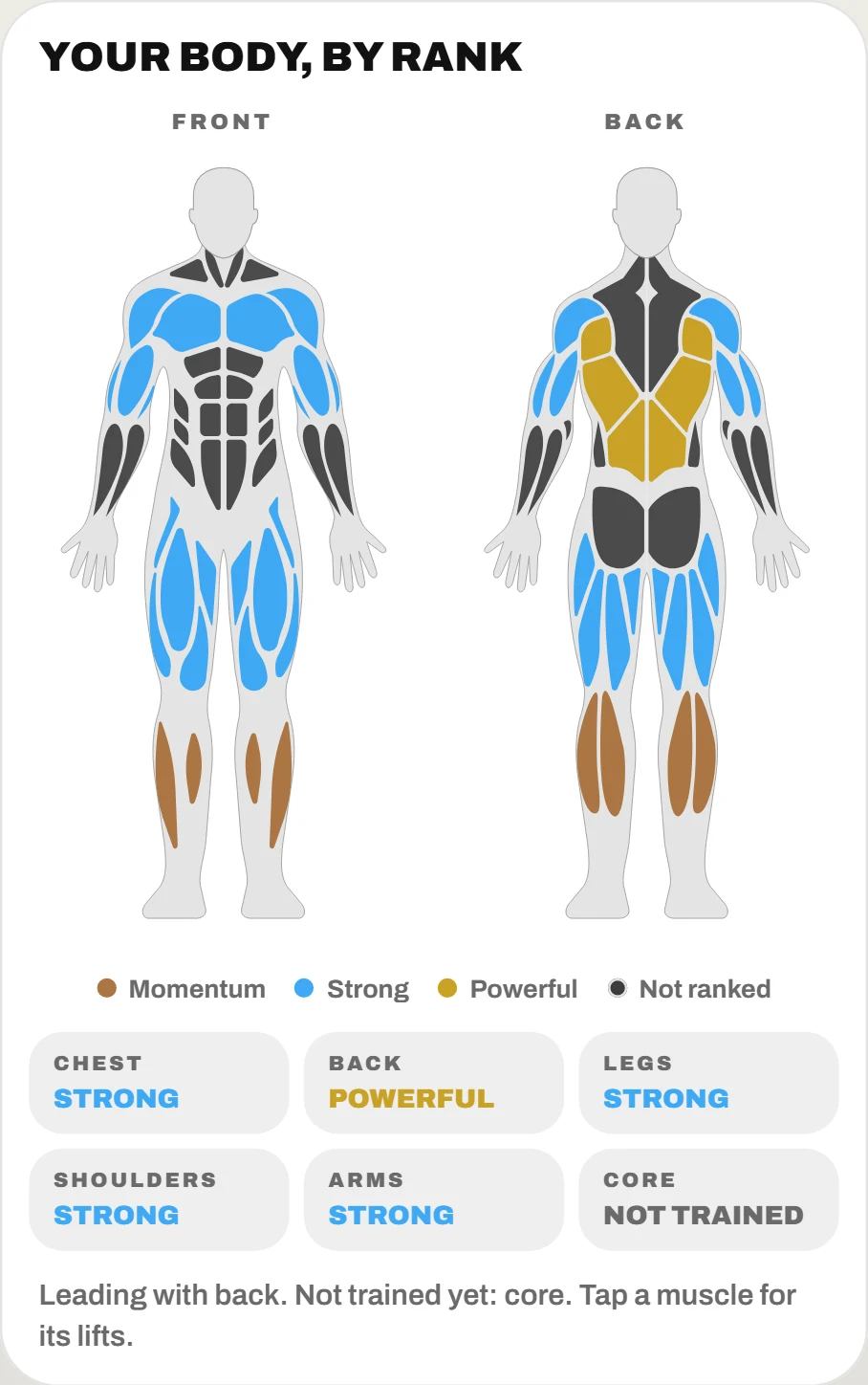 The strength map: a full-body figure front and back, back muscles gold for Powerful, chest, shoulders, arms and legs blue for Strong, calves bronze for Momentum and core not yet trained, with a rank for each muscle group underneath.
